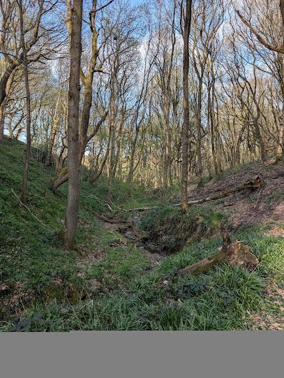 Black Carr Wood
